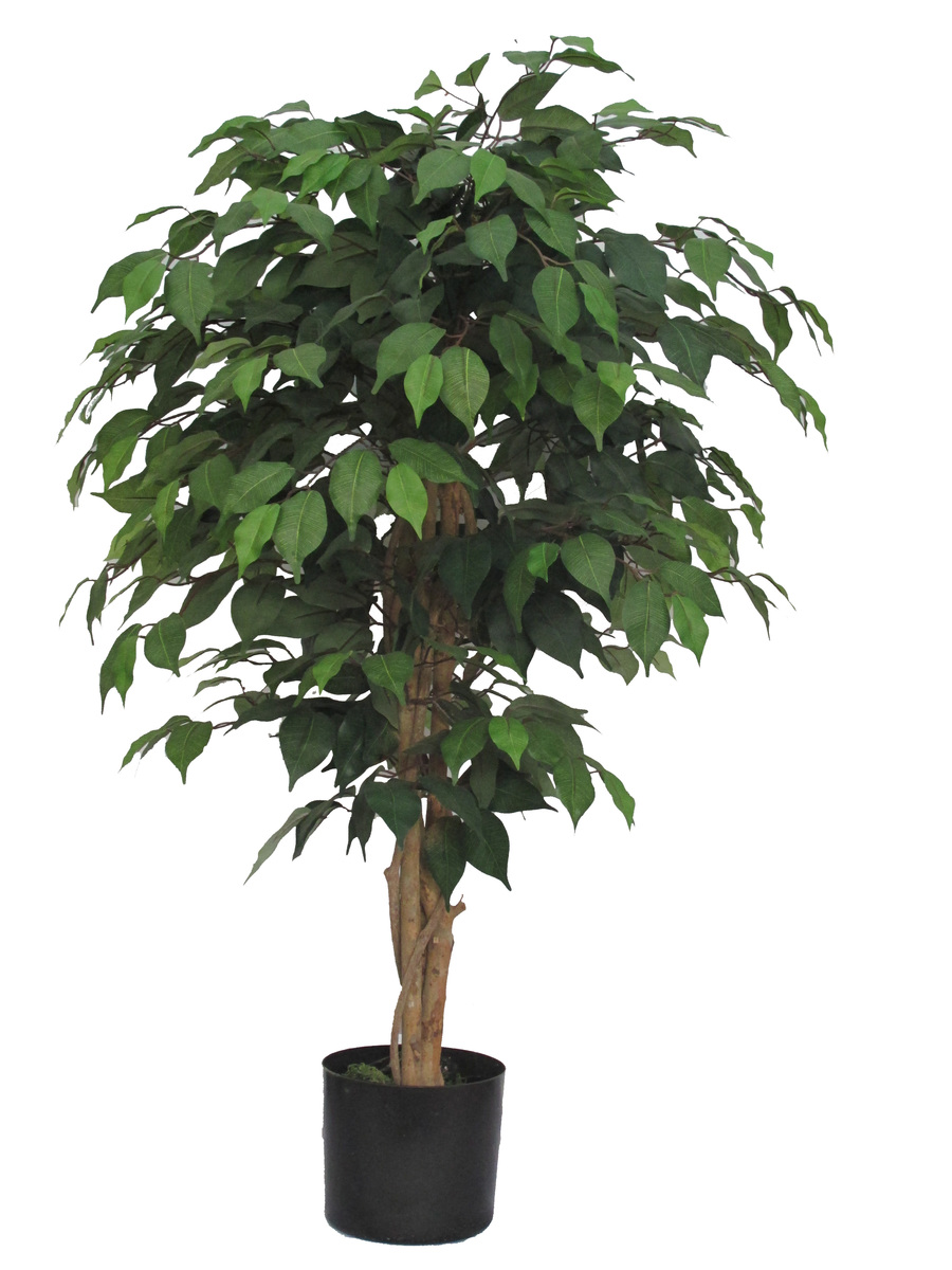 Artificial Tropical & Exotic Trees from plantART