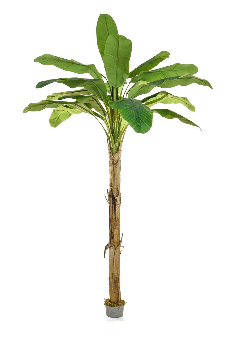 Buy Artificial Trees and Plants Online plantART