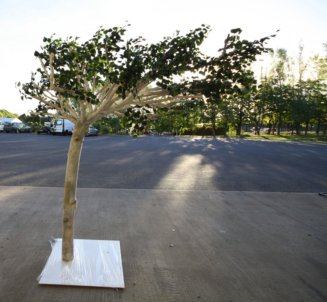 Bespoke Artificial Corner and Leaning Trees Design Example