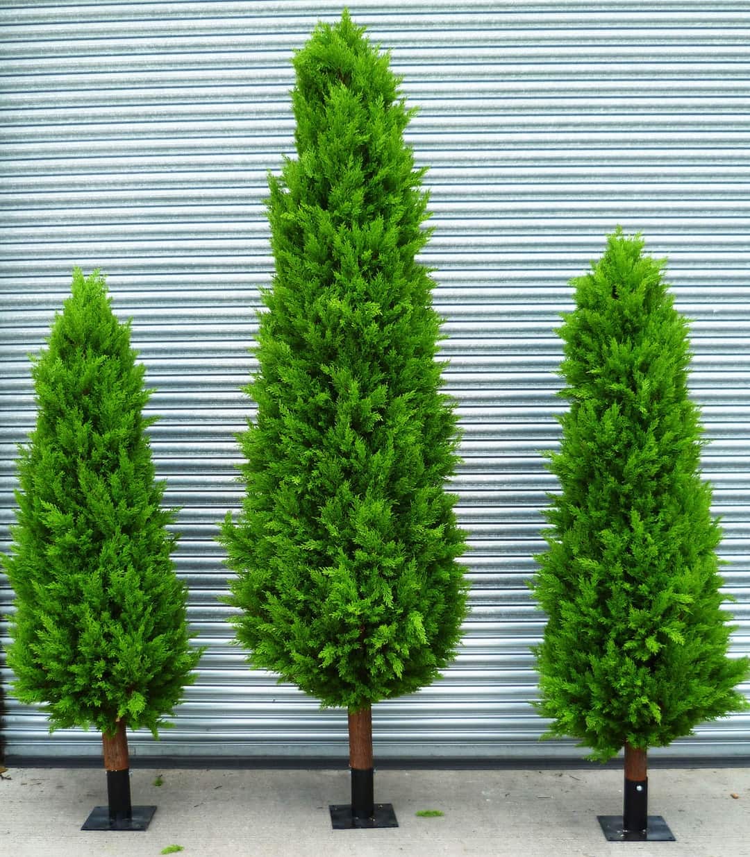 Bespoke Artificial Cypress Trees Design Example