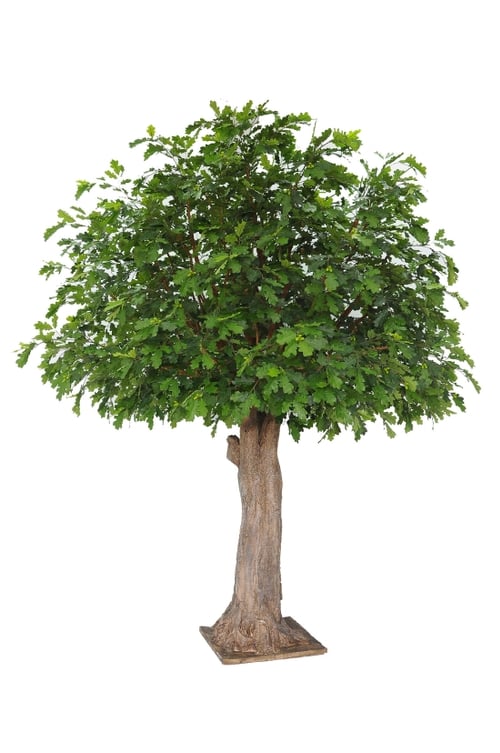 Bespoke Artificial Oak Trees Design Example