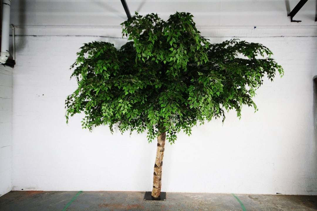 Bespoke Artificial Green Birch Trees Design Example