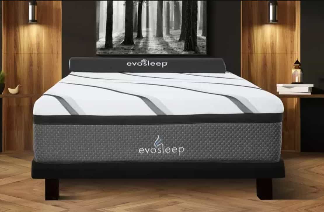 1 Evosleep, Review (Must Read)
