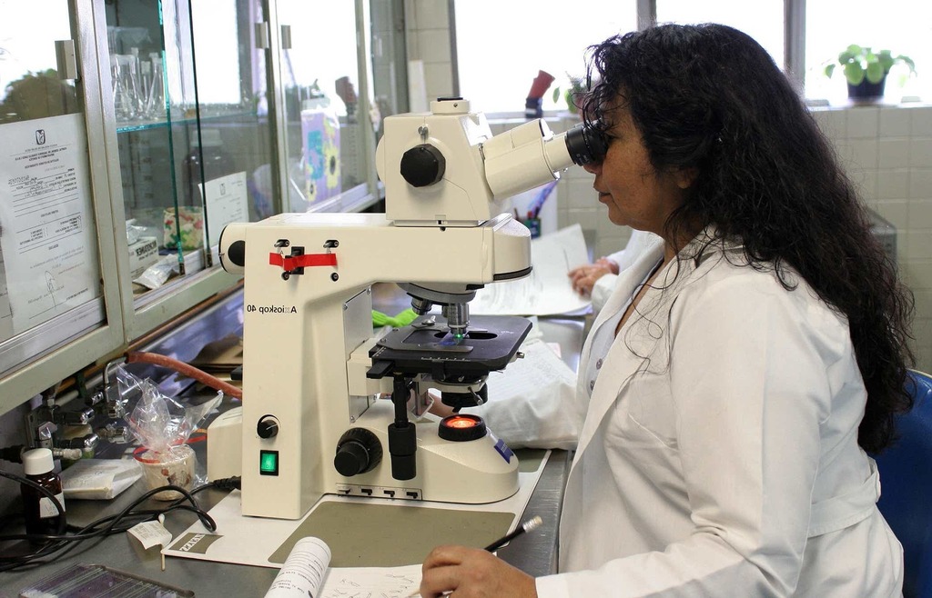 Specimen Processor Job Description [Template]