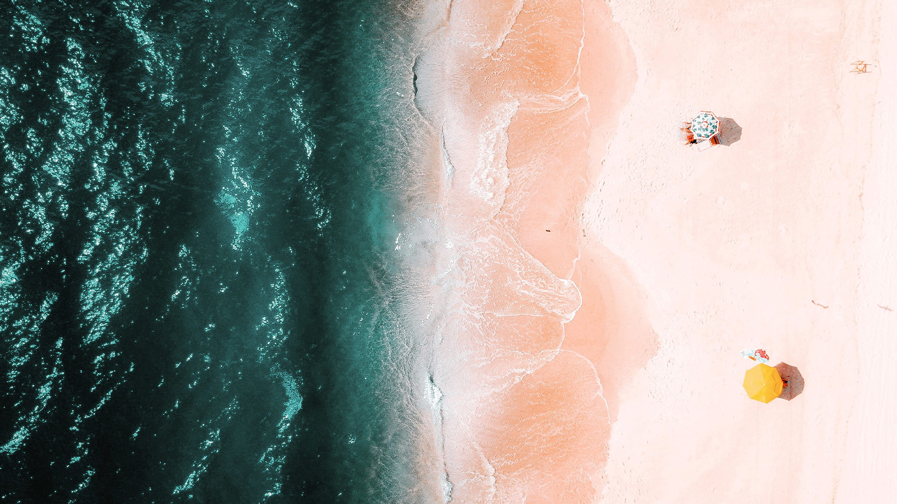 The ExploreExploit Continuum