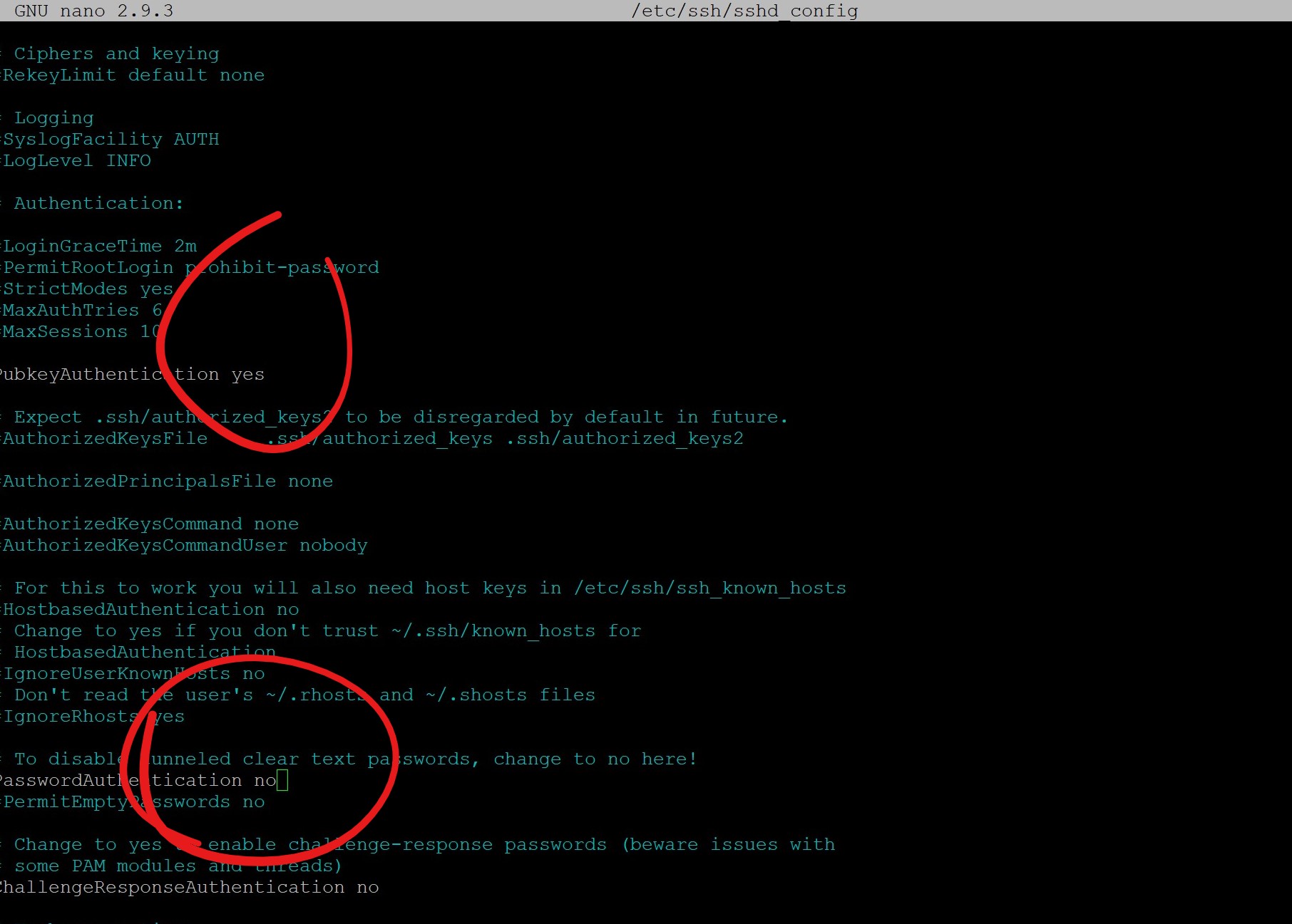 Remote Access to Jetson Nano over the 2 by mdegans Jetson