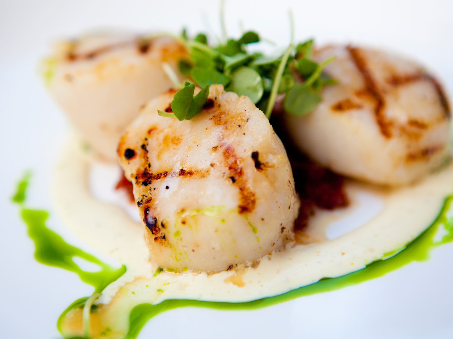 Grilled scallops with truffle Filippo Berio