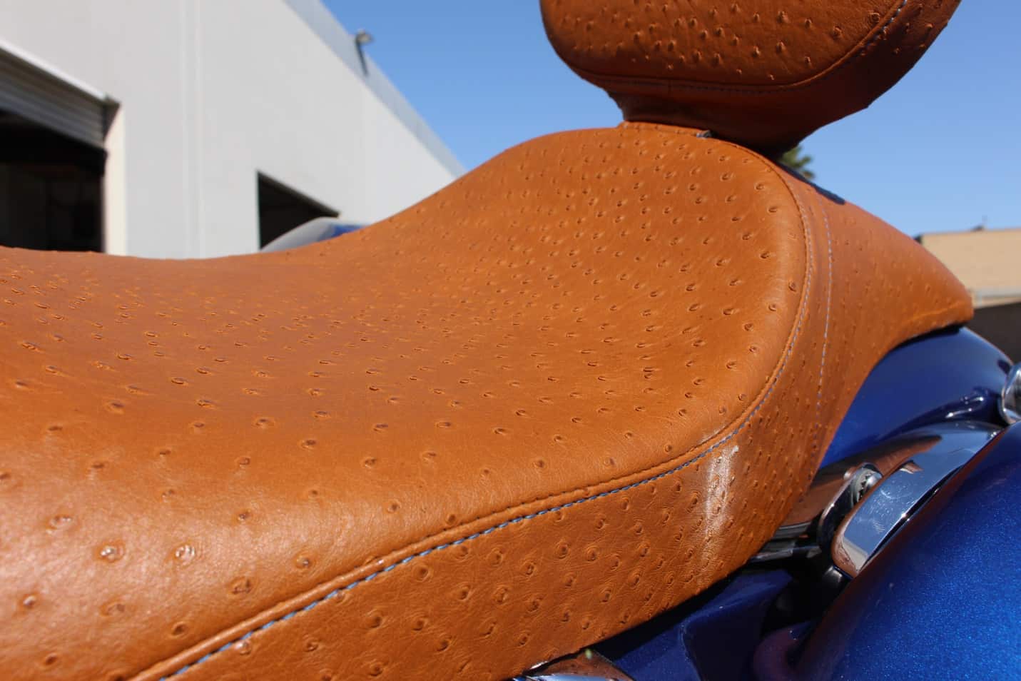 Ostrich leather, one of the most expensive leathers in the world