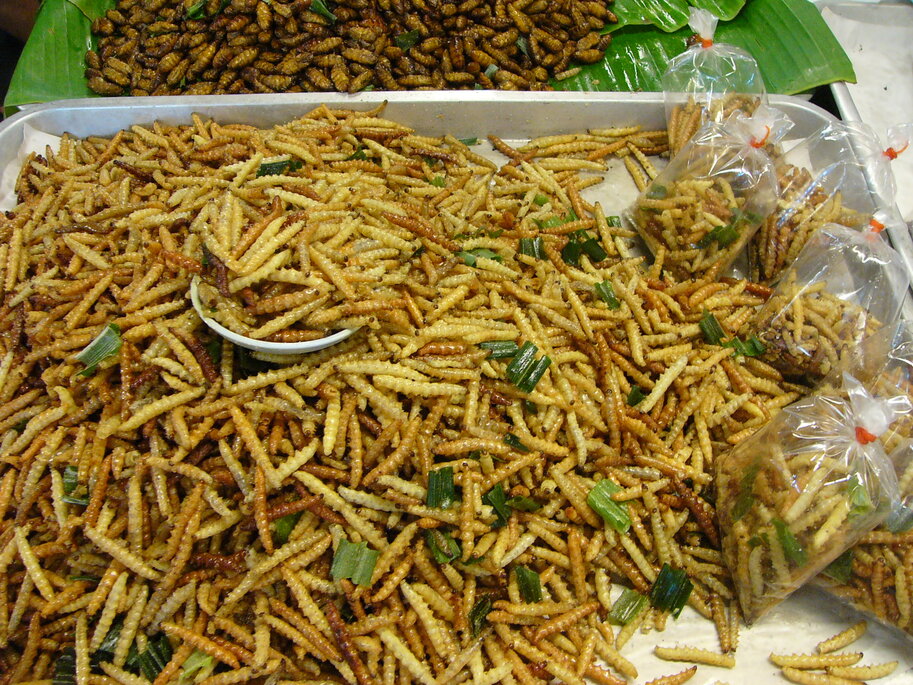 World fast turning to edible insects for food security and livelihood