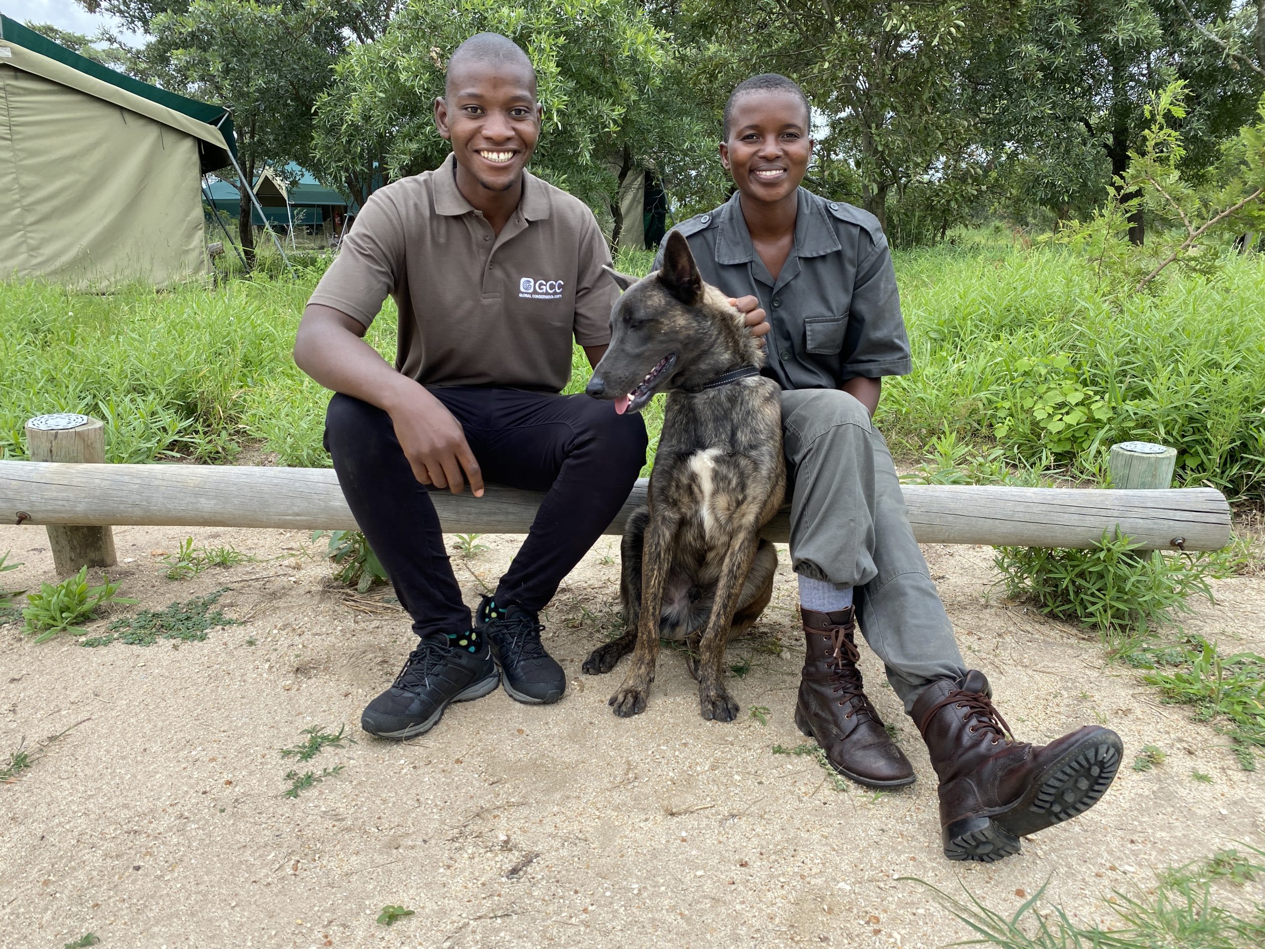 Careers in Conservation Video Series Presented by Global Conservation