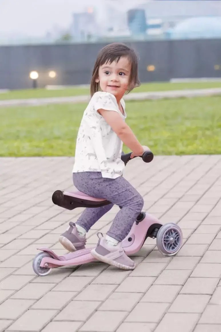 Joseph Mazoyer for ID Development Limited has designed a foldable