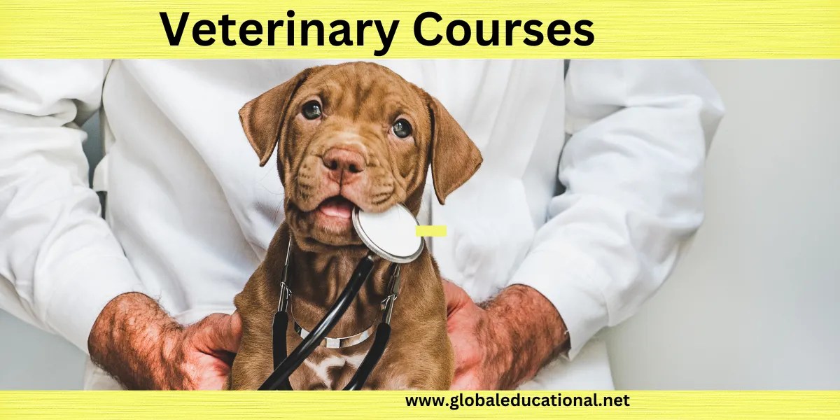 Fees for Veterinary CoursePrivate & Govt Colleges in India