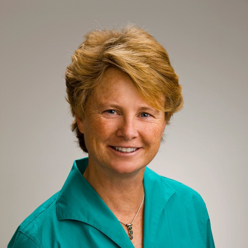 Biomimicry Nature’s Solution to Man’s Toughest Problems Global