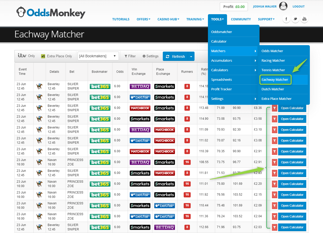 OddsMonkey Review 2021 Can You Go Full Time? GEM Global Extra Money