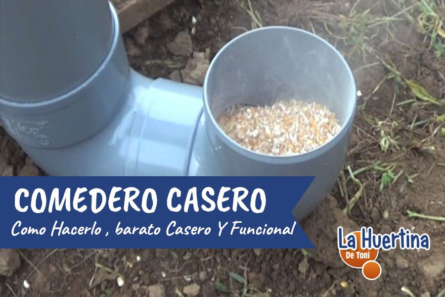 How to make a homemade chicken feeder Global Gardening Secrets