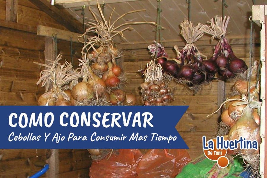 How to store onions and garlic from the garden Global Gardening Secrets