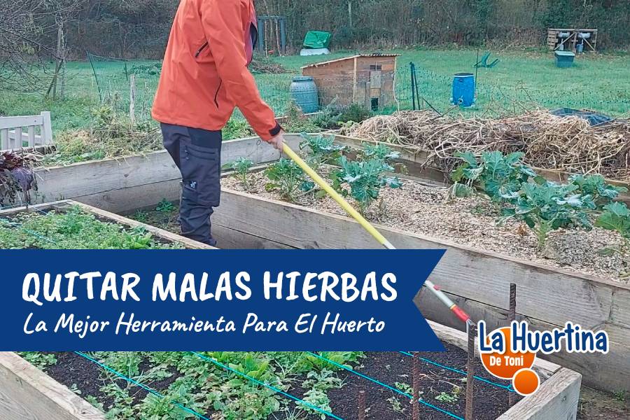 The best tool for removing garden weeds Global Gardening Secrets