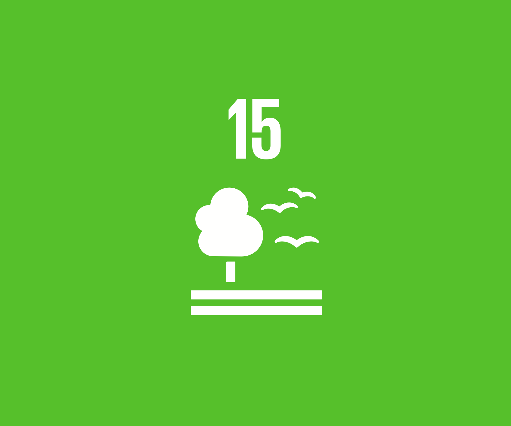 Goal 15 Life on land The Global Goals
