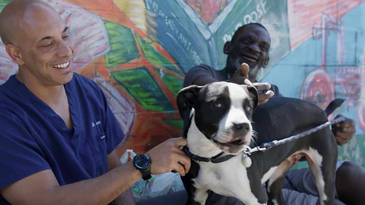 Street Vet California Veterinary Doctor Gives care to Homeless Pets in