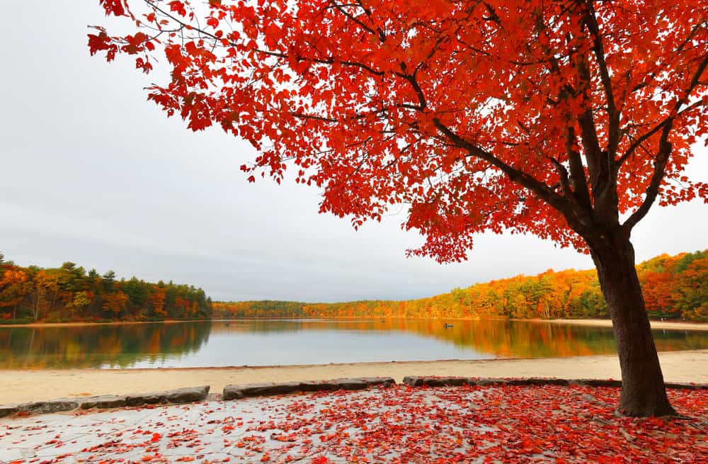 Top 16 Most Beautiful Places To Visit In Massachusetts