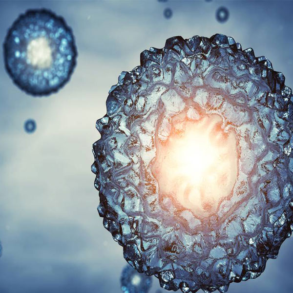 Frozen Embryo Transfer in Mumbai, India Global IVF & Fertility Center