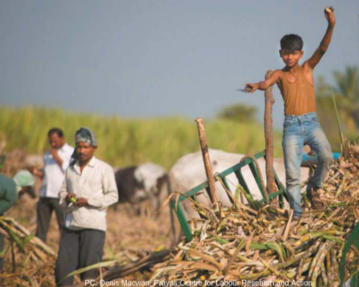 Revaluating Child Labour in Agriculture The Sugarcane Case of India