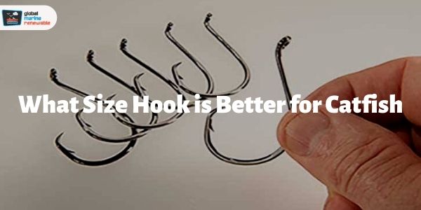 Know What Sizes of Hooks are Better for Catching Catfish