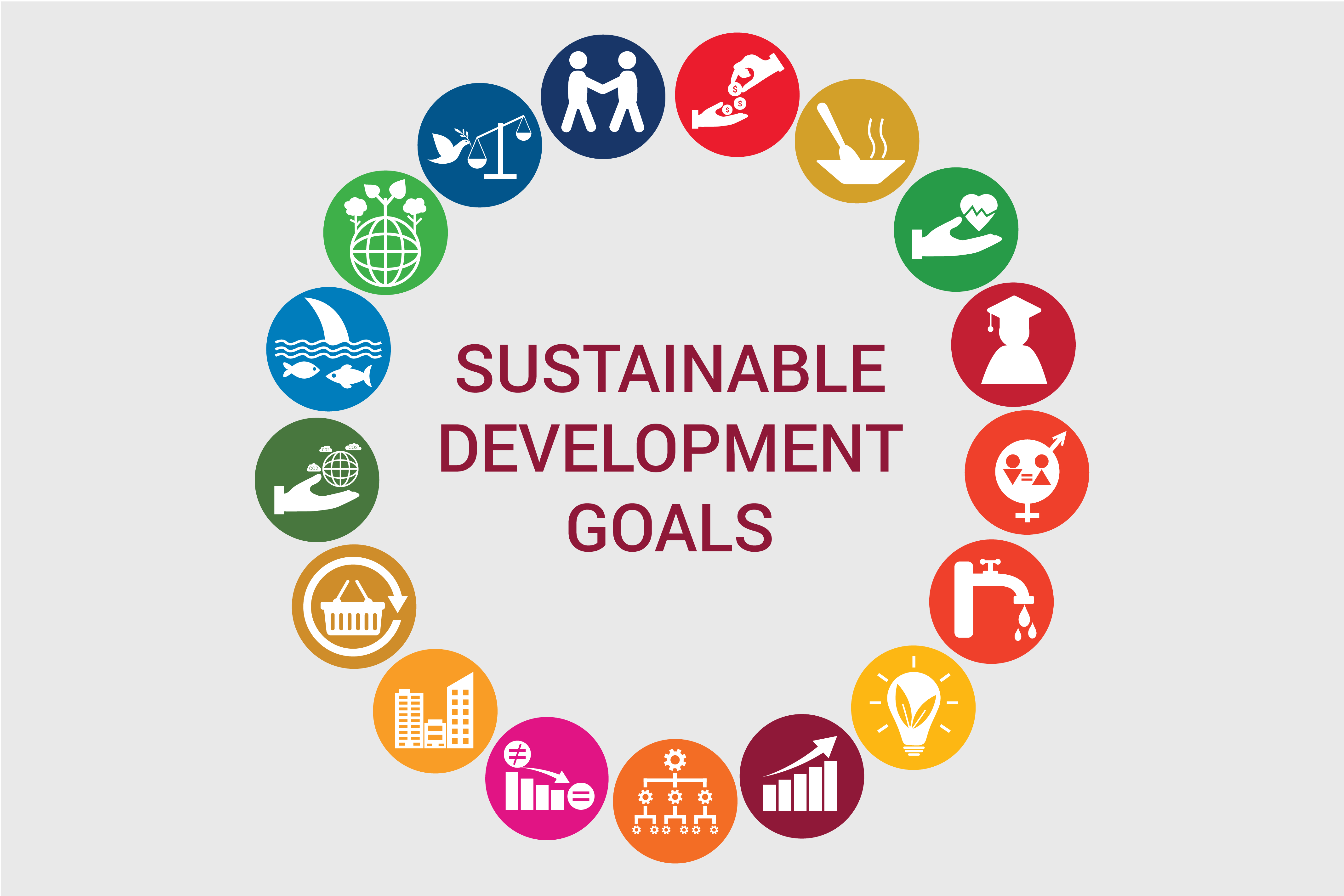 inar Building the Sustainable Development Goals into Your Mission