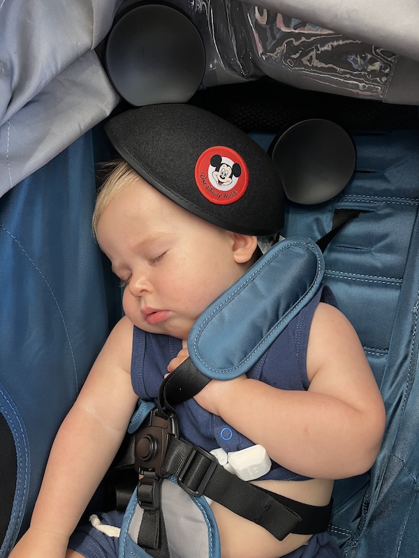 Disney Stroller Rental What is the Best Option?