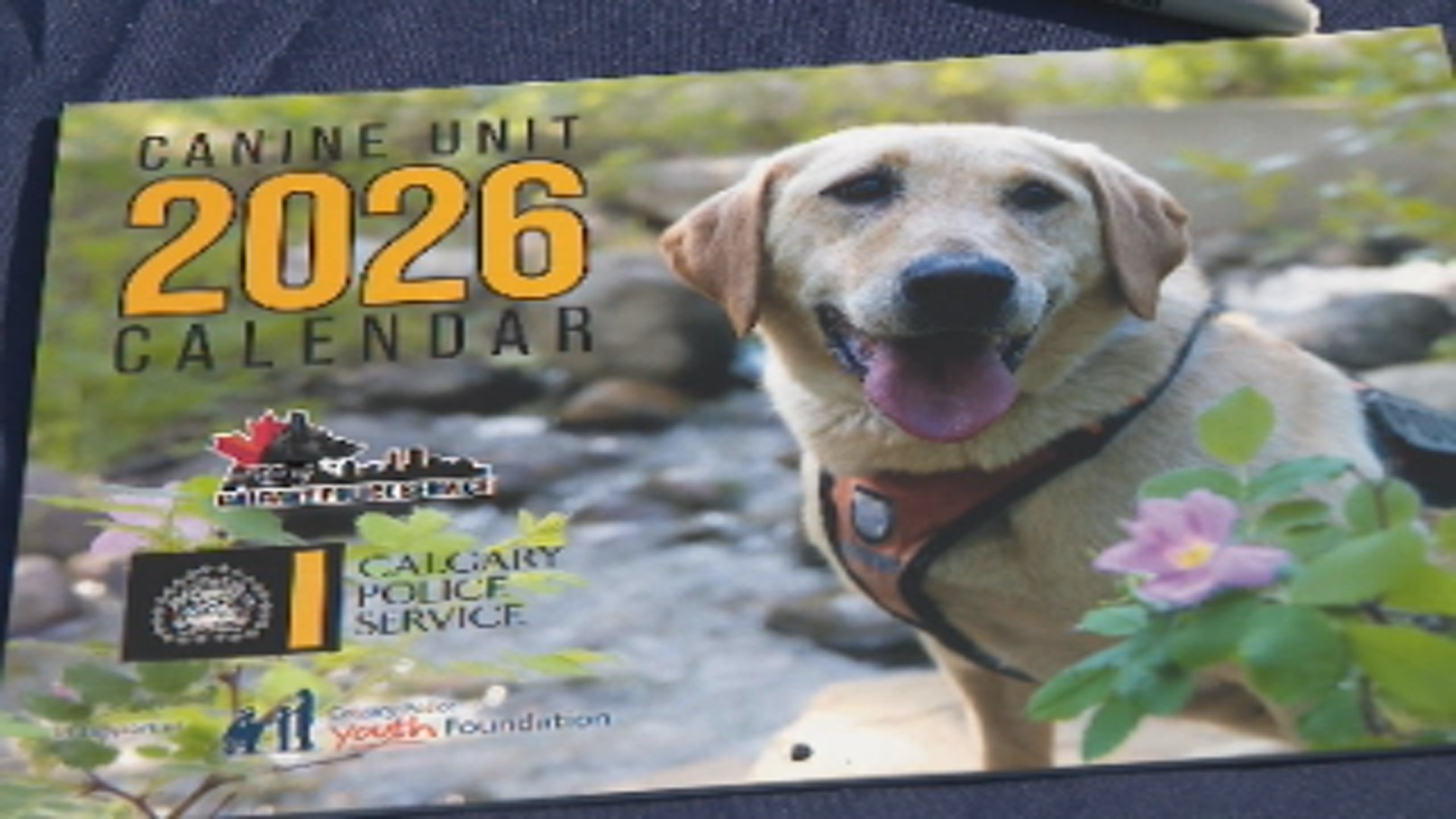 Calgary Police Start Calendar Fundraiser for Youth Crime Prevention