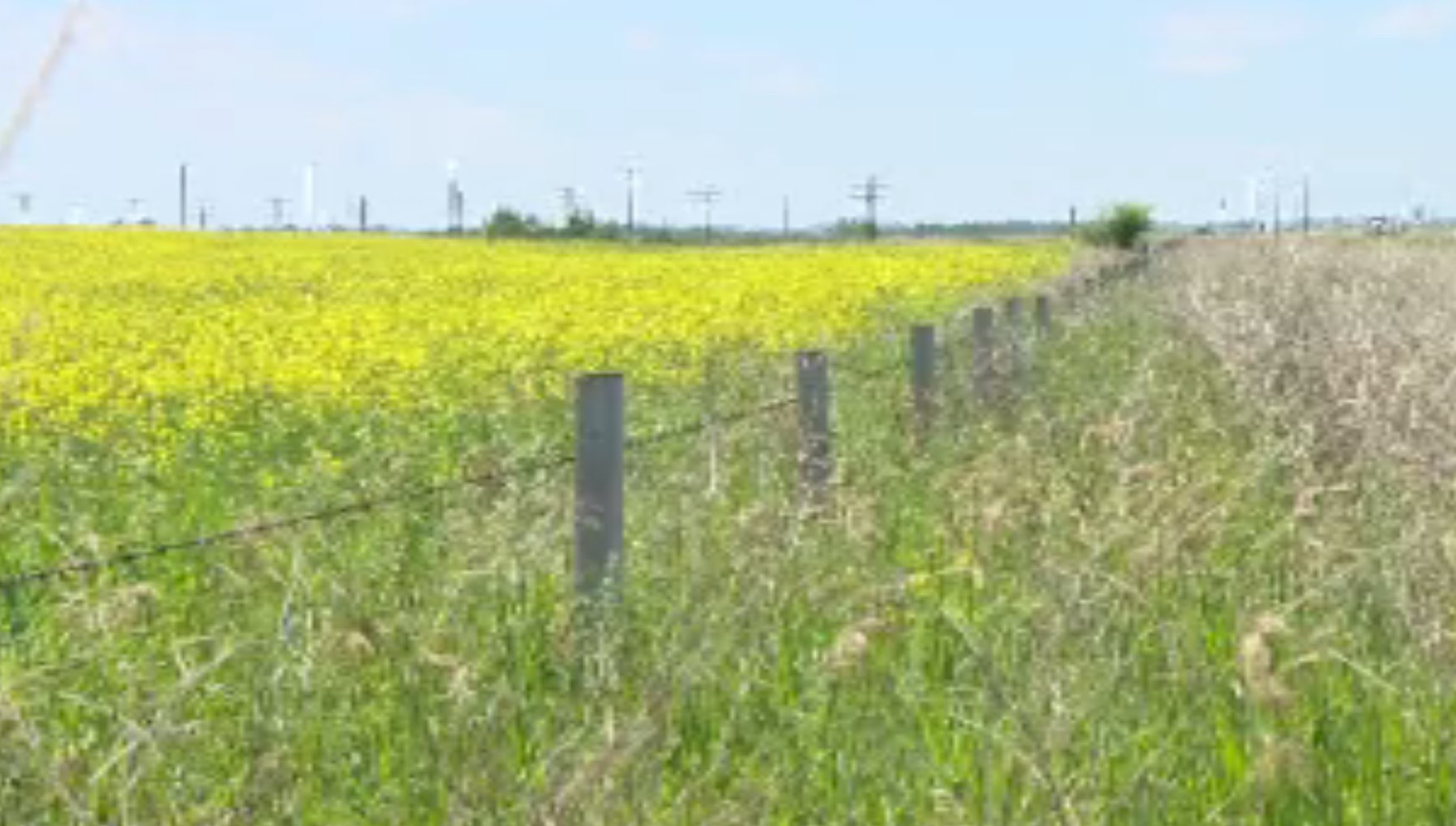 Agricultores de Saskatchewan enfrentam custos mais altos antes da semeadura da primavera – Saskatoon