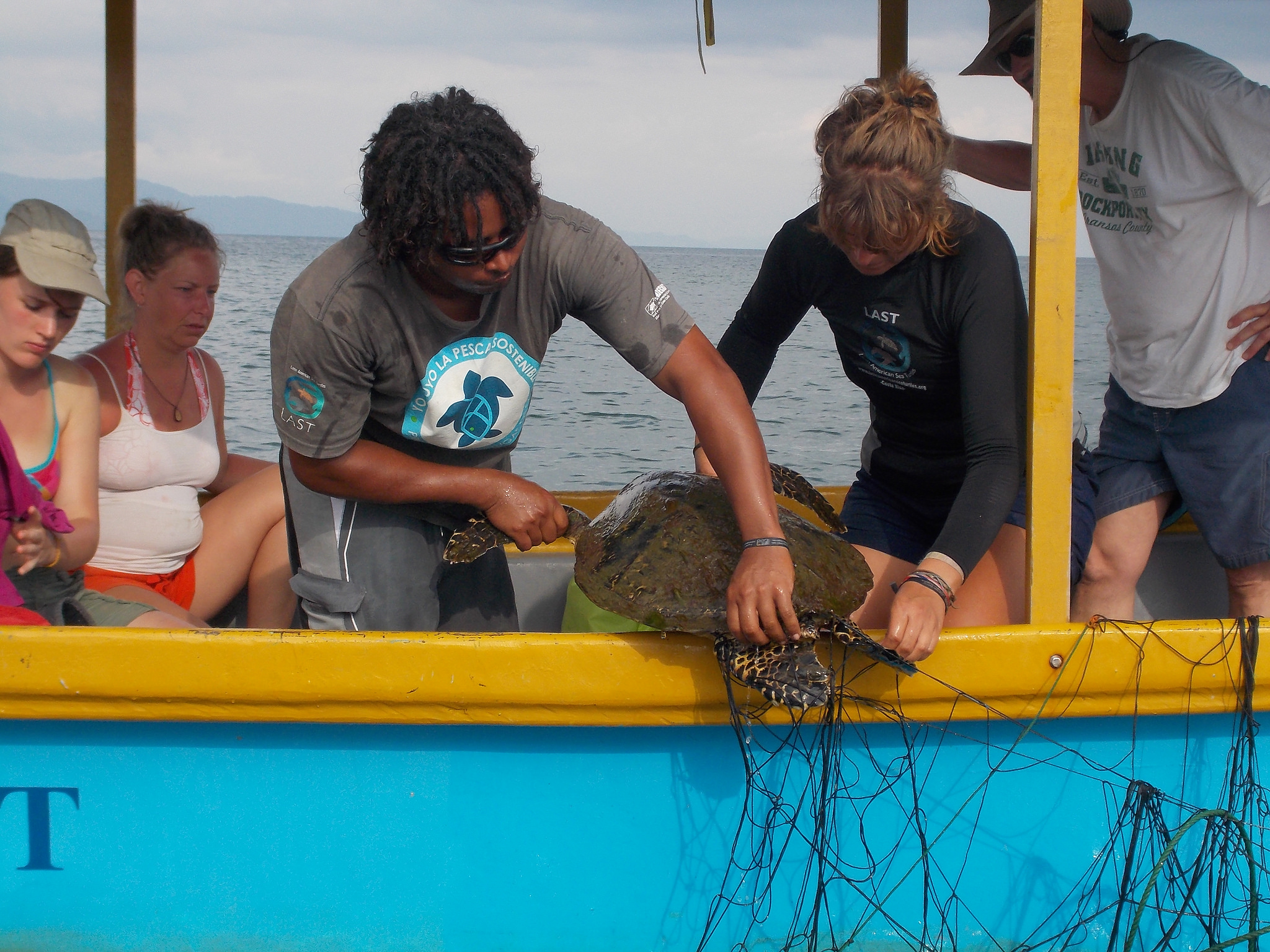 InWater Sea Turtle Conservation Internship in Costa Rica