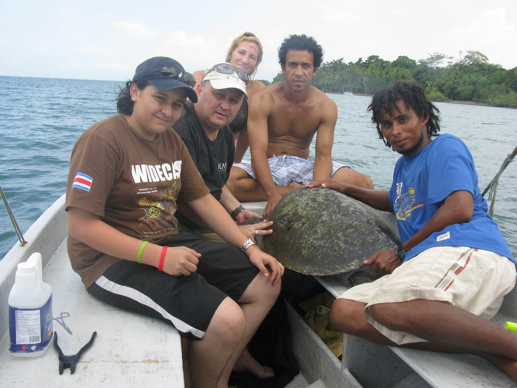 InWater Sea Turtle Conservation Internship in Costa Rica