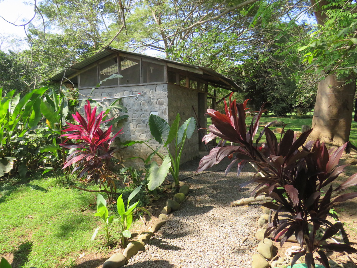 Costa Rica Wildlife Conservation Volunteer Global Nomadic