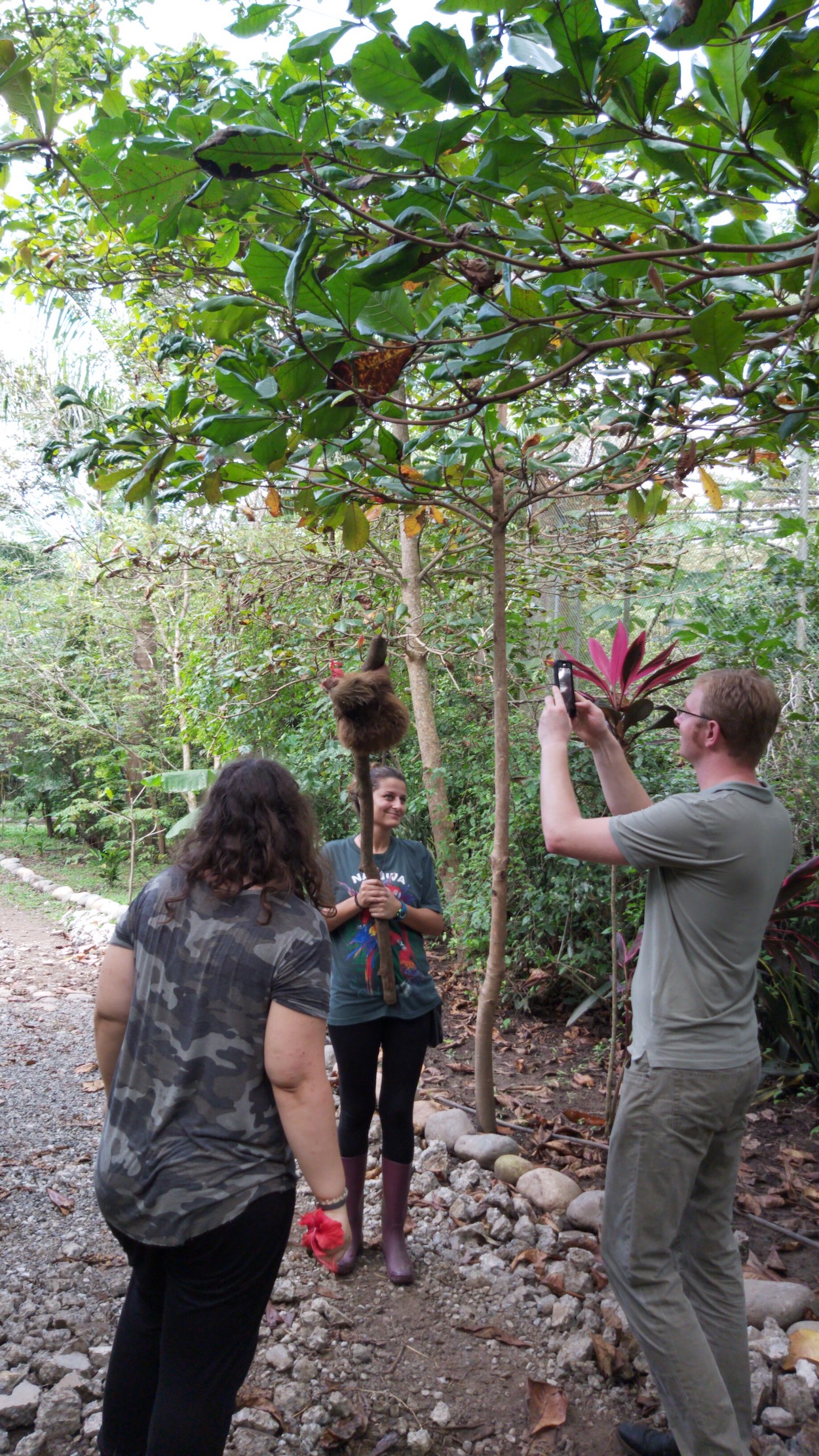 Costa Rica Wildlife Conservation Volunteer Global Nomadic