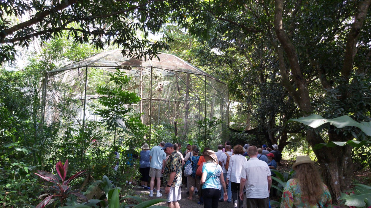 Costa Rica Wildlife Conservation Volunteer Global Nomadic