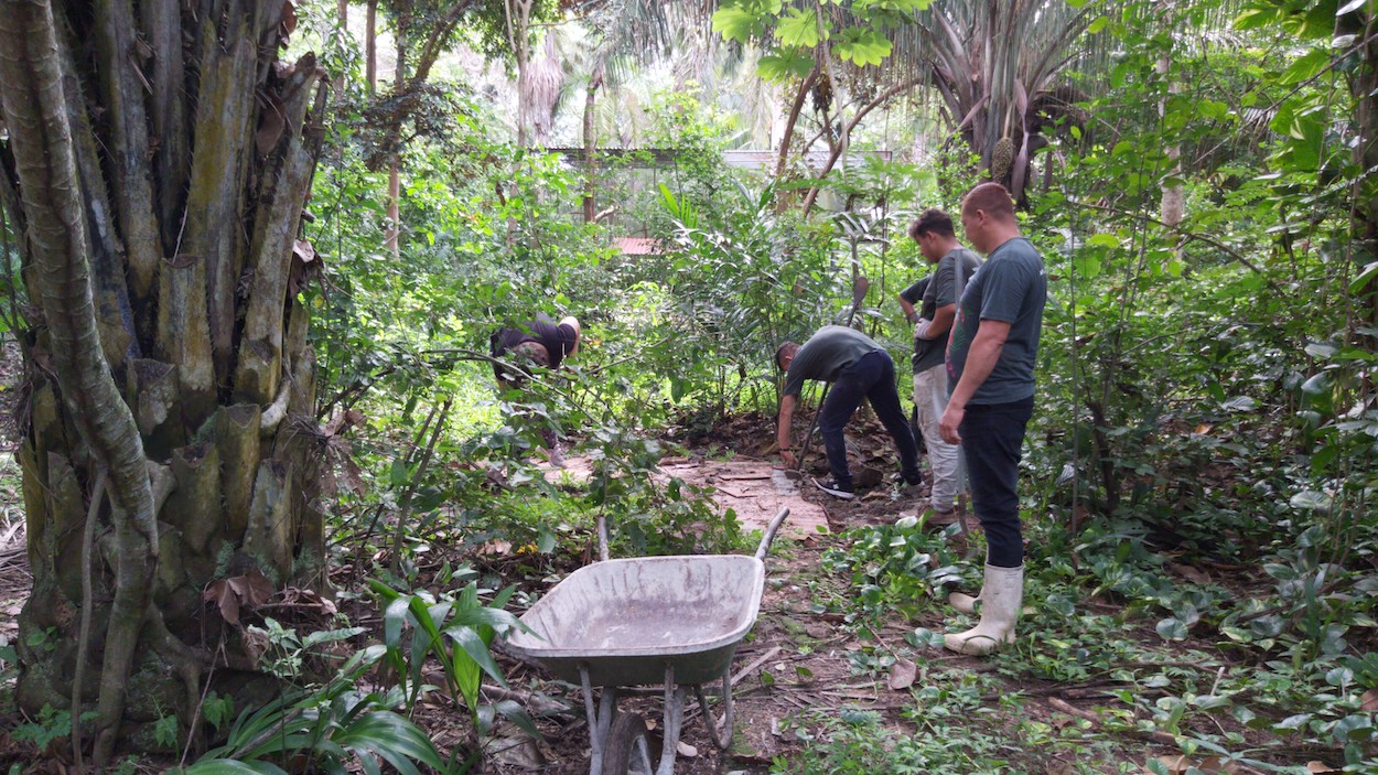 Costa Rica Wildlife Conservation Volunteer Global Nomadic