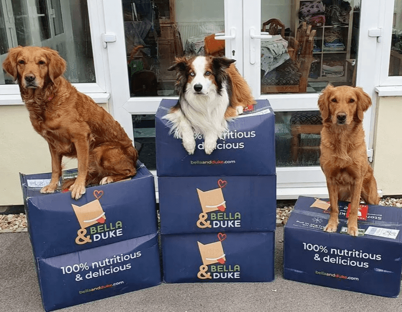 UK pet food subscription company raises £7 million GlobalPETS