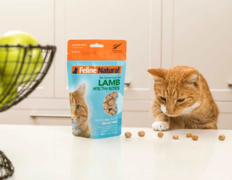 KKR Acquires Natural Pet Food Group GlobalPETS