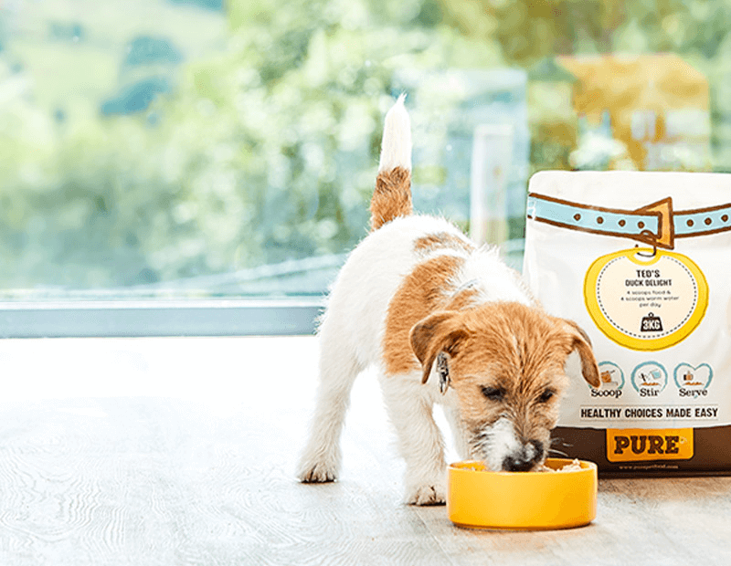 Personalized pet food manufacturer secures multimillion investment