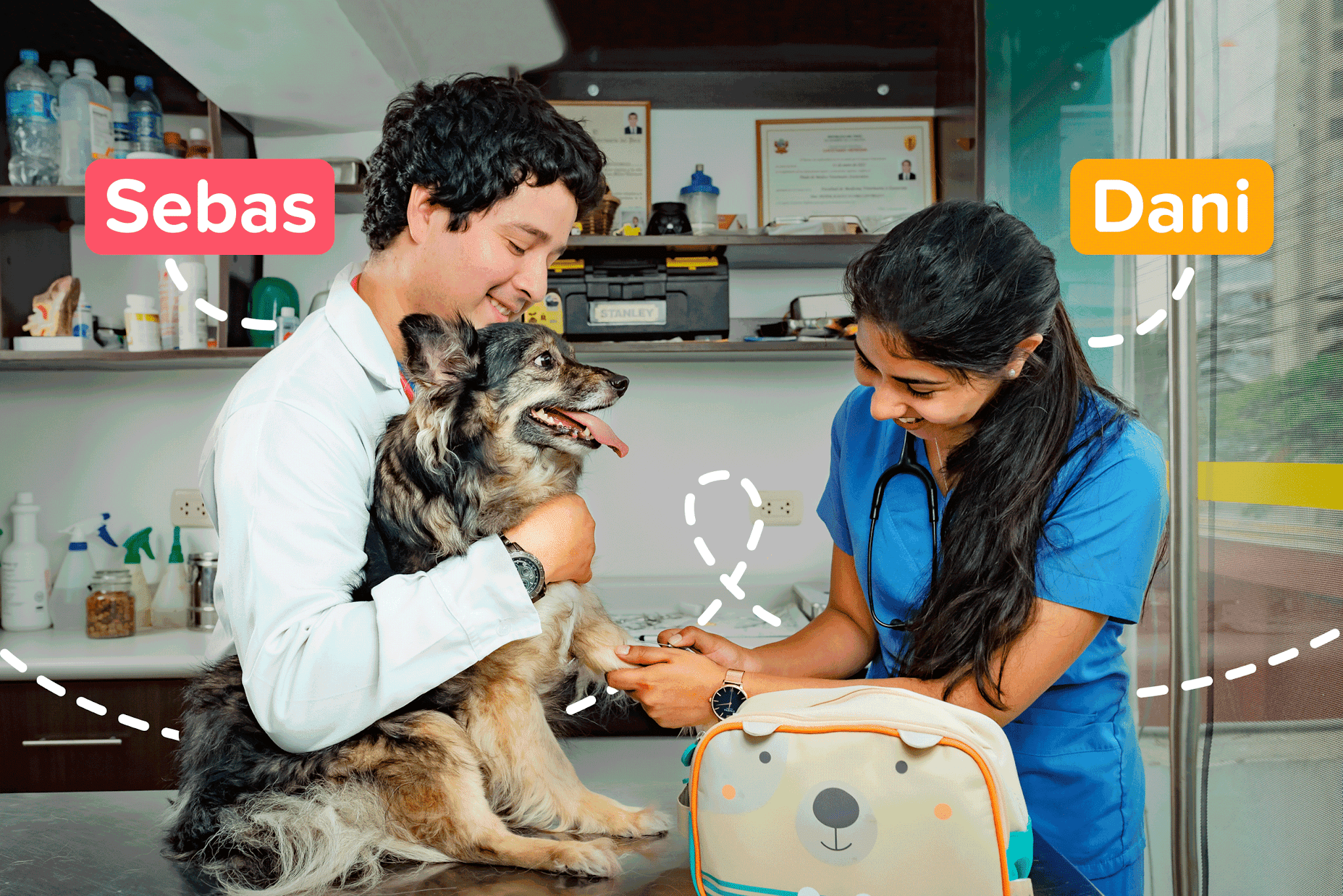 Global Pet Perú Sitio  Oficial