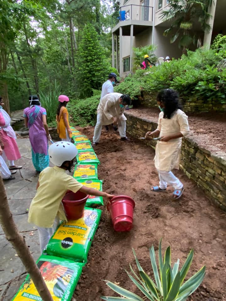 SPHEEHA INTERNATIONAL TREE PLANTATION DAY 1st August 2020 Global