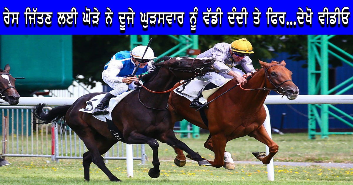 Horse Bites Rival Jockey