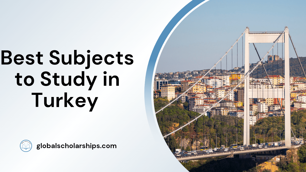 5 Best Subjects to Study in Turkey Global Scholarships