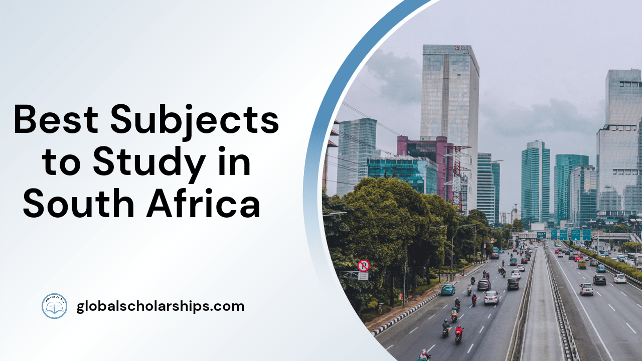 5 Best Subjects to Study in South Africa Global Scholarships