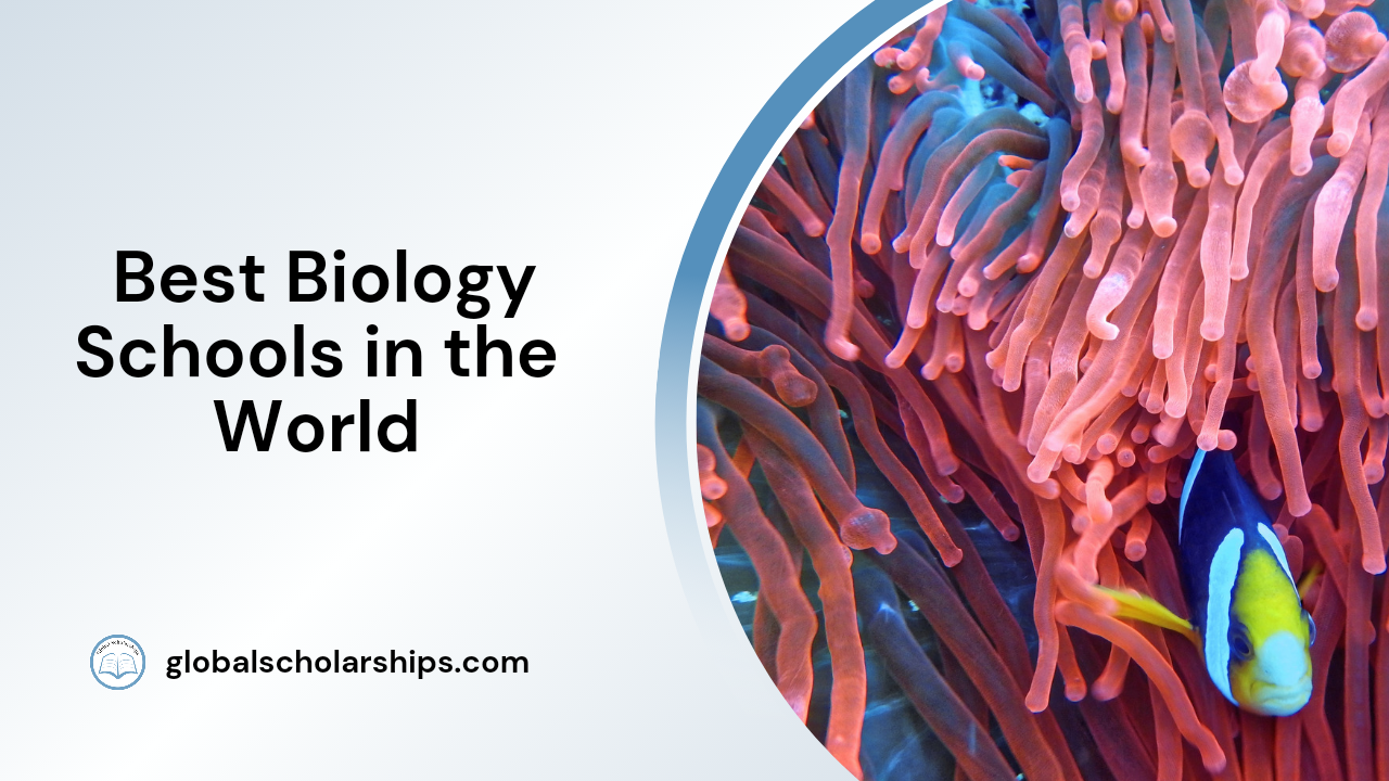 7 Best Biology Schools in the World Global Scholarships