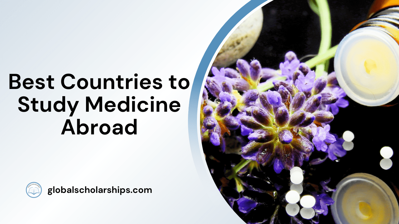 7 Best Countries to Study Medicine Abroad Global Scholarships
