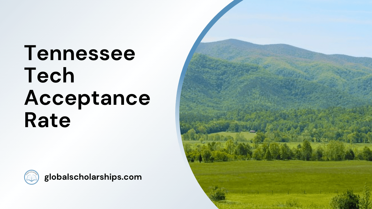 Tennessee Tech Acceptance Rate Global Scholarships