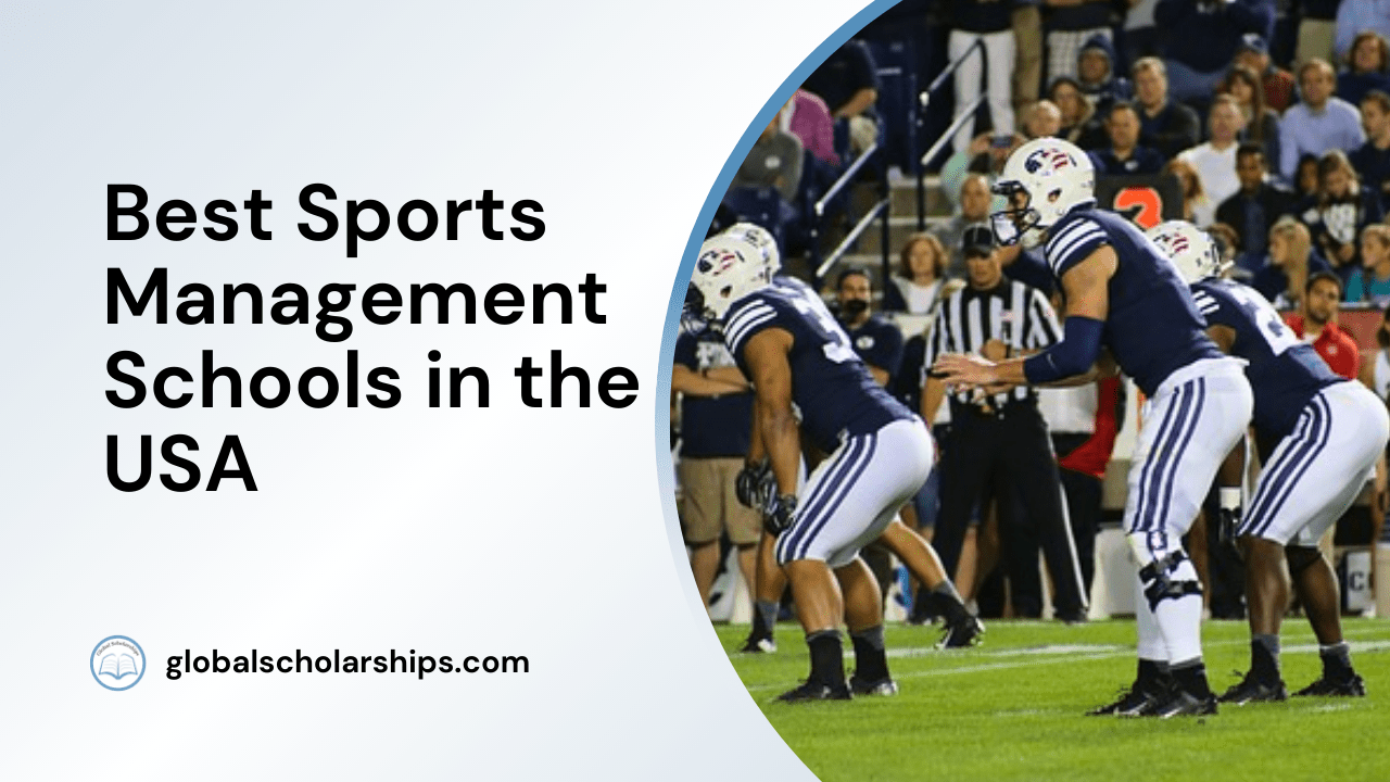 Best Sports Management Schools at Louis Stephens blog