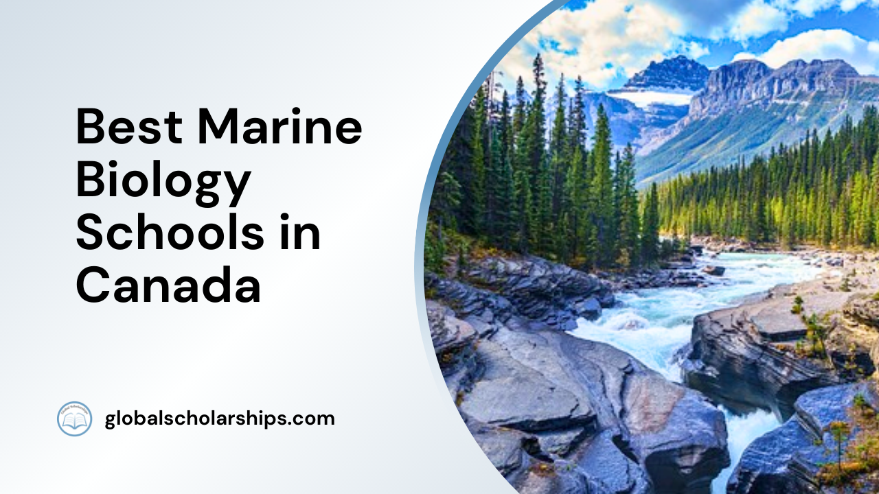 5 Best Marine Biology Schools in Canada Global Scholarships